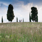 Fagagna sposi